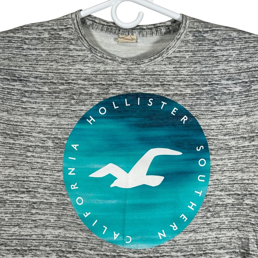 Hollister Mens XL Grey Space Dye Graphic T-Shirt Southern California Seagull